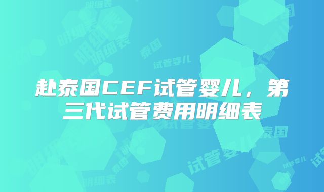 赴泰国CEF试管婴儿，第三代试管费用明细表