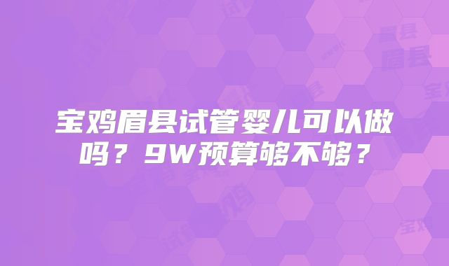 宝鸡眉县试管婴儿可以做吗?9W预算够不够?