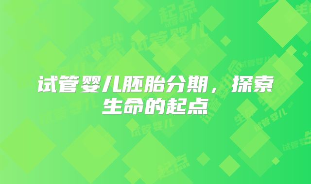 试管婴儿胚胎分期,探索生命的起点