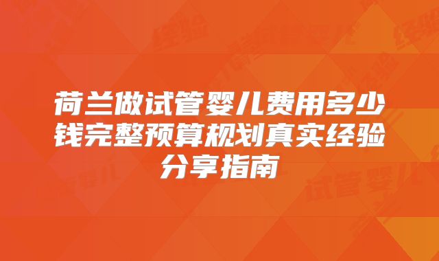 荷兰做试管婴儿费用多少钱完整预算规划真实经验分享指南