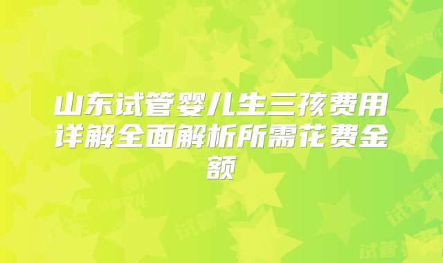 山东试管婴儿生三孩费用详解全面解析所需花费金额