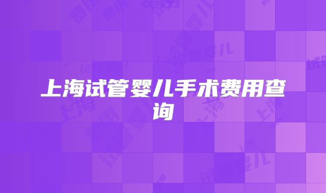 上海试管婴儿手术费用查询