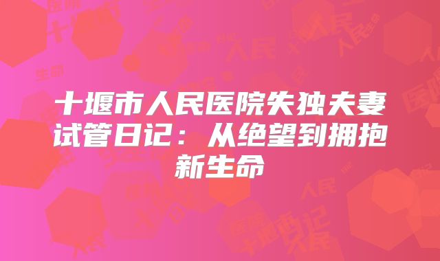 十堰市人民医院失独夫妻试管日记:从绝望到拥抱新生命
