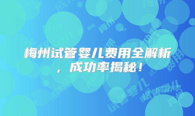 梅州试管婴儿费用全解析,成功率揭秘!