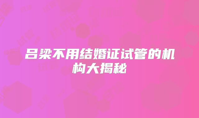 吕梁不用结婚证试管的机构大揭秘
