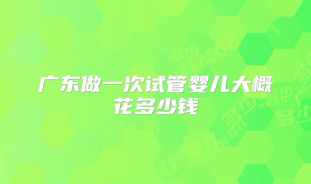 广东做一次试管婴儿大概花多少钱