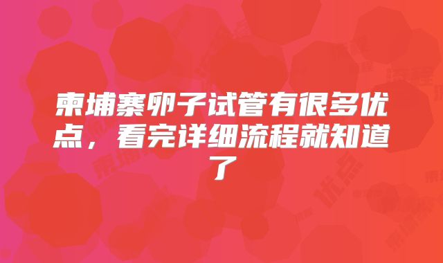 柬埔寨卵子试管有很多优点,看完详细流程就知道了