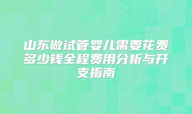 山东做试管婴儿需要花费多少钱全程费用分析与开支指南