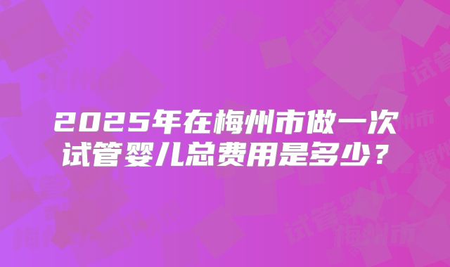 2025年在梅州市做一次试管婴儿总费用是多少?