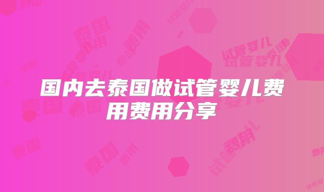 国内去泰国做试管婴儿费用费用分享
