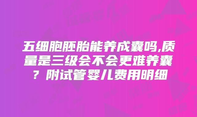 五细胞胚胎能养成囊吗,质量是三级会不会更难养囊?附试管婴儿费用明细