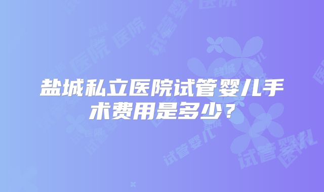 盐城私立医院试管婴儿手术费用是多少？