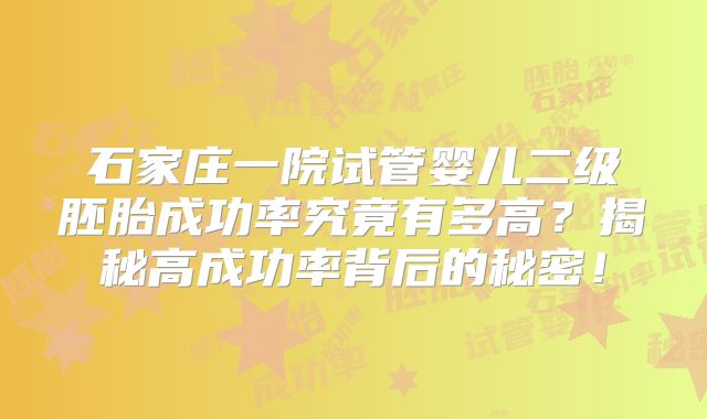石家庄一院试管婴儿二级胚胎成功率究竟有多高?揭秘高成功率背后的秘密!
