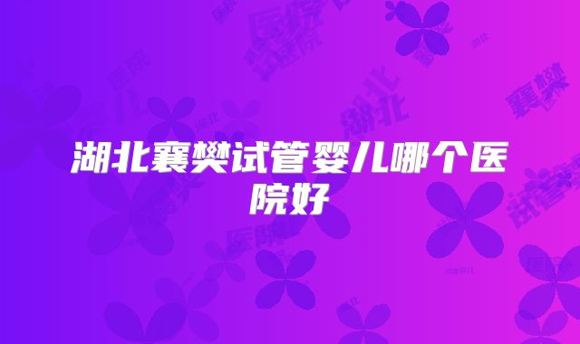 湖北襄樊试管婴儿哪个医院好