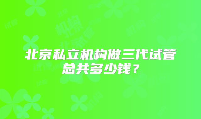 北京私立机构做三代试管总共多少钱？