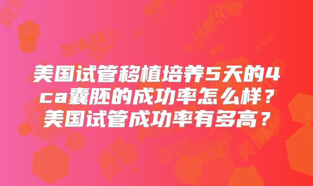 美国试管移植培养5天的4ca囊胚的成功率怎么样?美国试管成功率有多高?