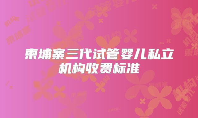 柬埔寨三代试管婴儿私立机构收费标准