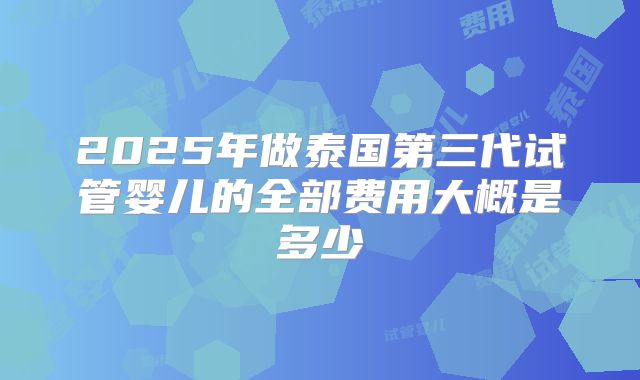 2025年做泰国第三代试管婴儿的全部费用大概是多少