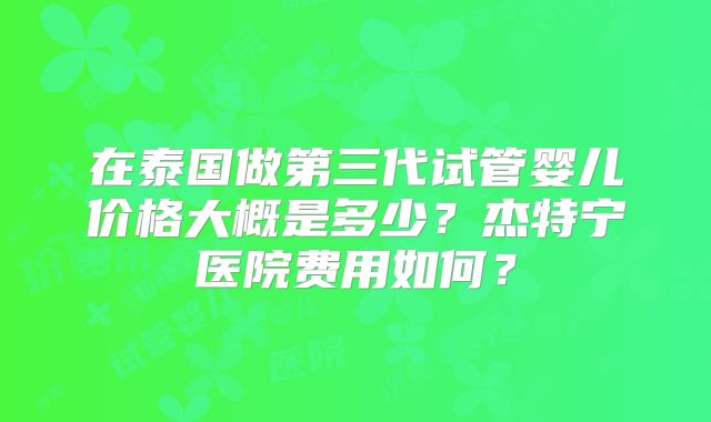 在泰国做第三代试管婴儿价格大概是多少?杰特宁医院费用如何?