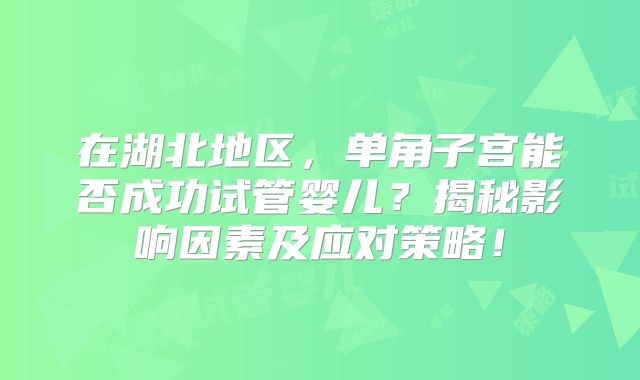 在湖北地区，单角子宫能否成功试管婴儿？揭秘影响因素及应对策略！