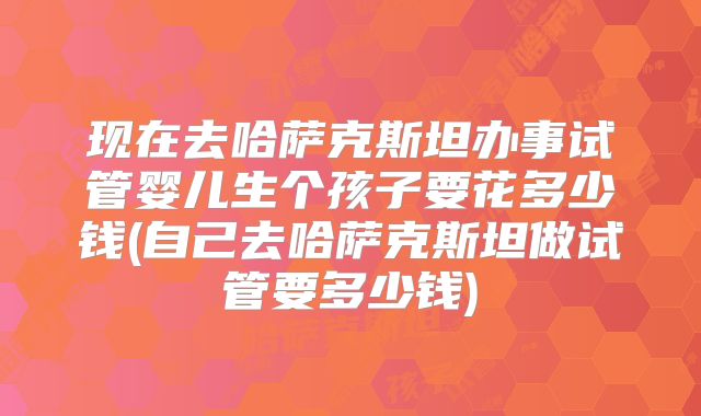 现在去哈萨克斯坦办事试管婴儿生个孩子要花多少钱(自己去哈萨克斯坦做试管要多少钱)