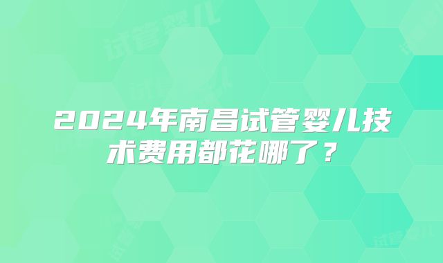 2024年南昌试管婴儿技术费用都花哪了?