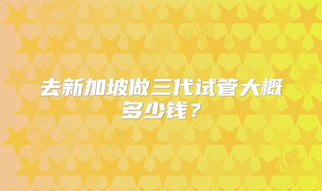 去新加坡做三代试管大概多少钱？