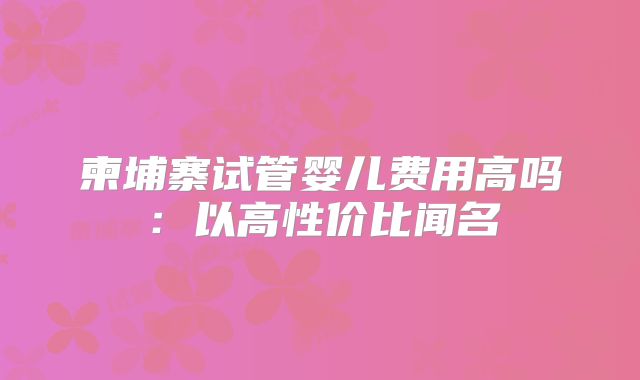 柬埔寨试管婴儿费用高吗:以高性价比闻名