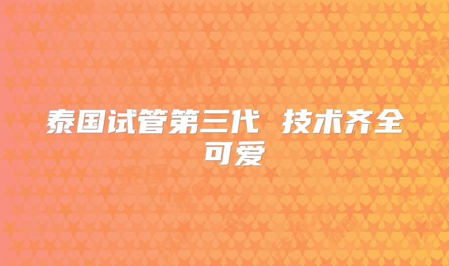 泰国试管第三代 技术齐全 可爱