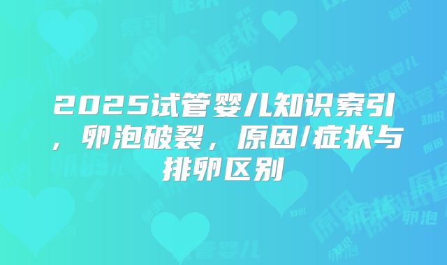 2025试管婴儿知识索引,卵泡破裂,原因/症状与排卵区别