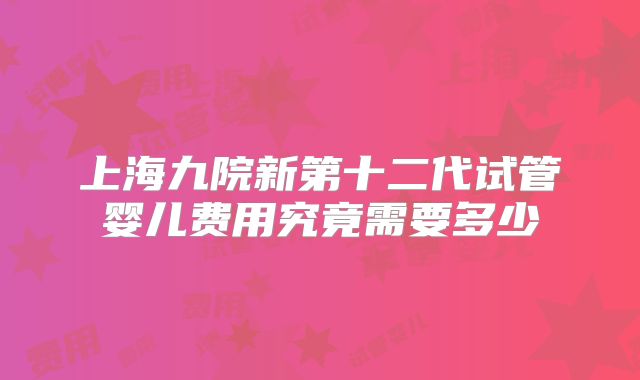 上海九院新第十二代试管婴儿费用究竟需要多少