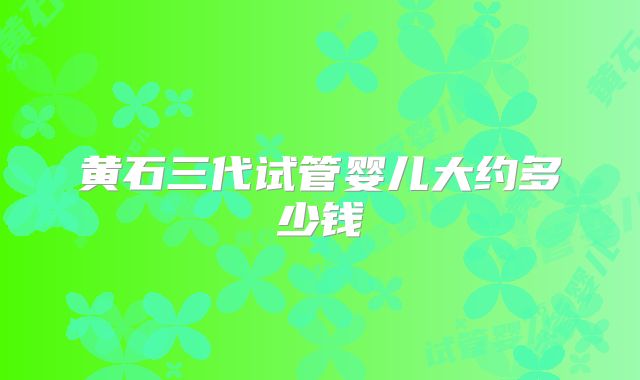 黄石三代试管婴儿大约多少钱