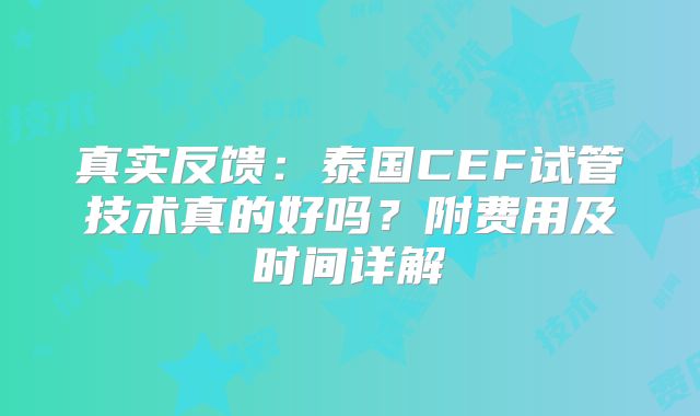 真实反馈：泰国CEF试管技术真的好吗？附费用及时间详解