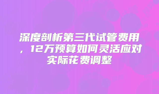 深度剖析第三代试管费用,12万预算如何灵活应对实际花费调整