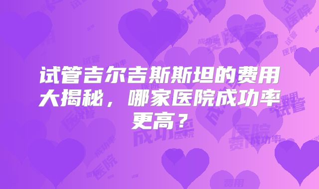 试管吉尔吉斯斯坦的费用大揭秘，哪家医院成功率更高？