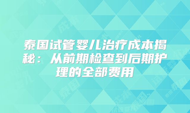 泰国试管婴儿治疗成本揭秘:从前期检查到后期护理的全部费用