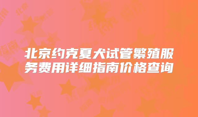 北京约克夏犬试管繁殖服务费用详细指南价格查询