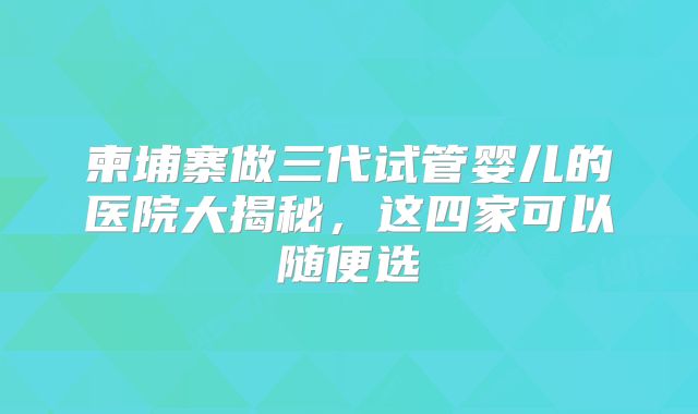 柬埔寨做三代试管婴儿的医院大揭秘,这四家可以随便选