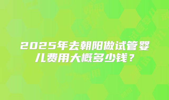 2025年去朝阳做试管婴儿费用大概多少钱？
