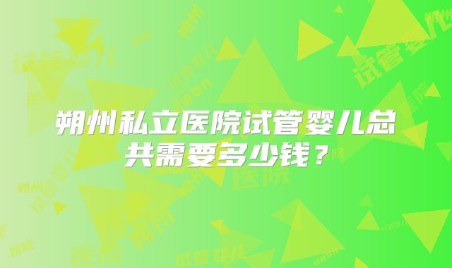 朔州私立医院试管婴儿总共需要多少钱？