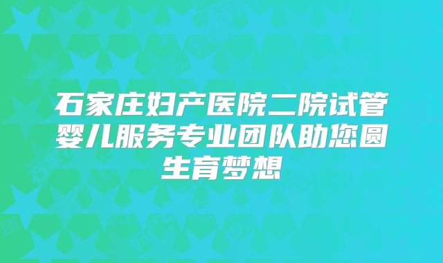 石家庄妇产医院二院试管婴儿服务专业团队助您圆生育梦想