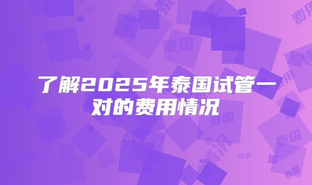 了解2025年泰国试管一对的费用情况