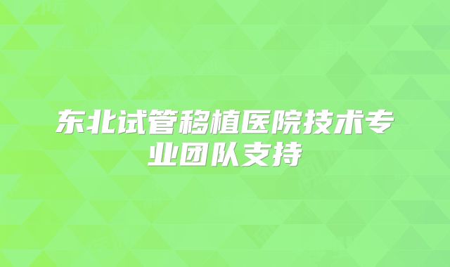 东北试管移植医院技术专业团队支持