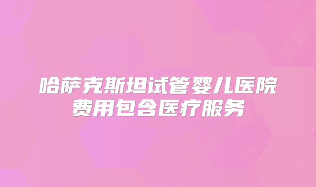 哈萨克斯坦试管婴儿医院费用包含医疗服务