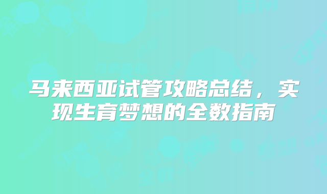马来西亚试管攻略总结,实现生育梦想的全数指南