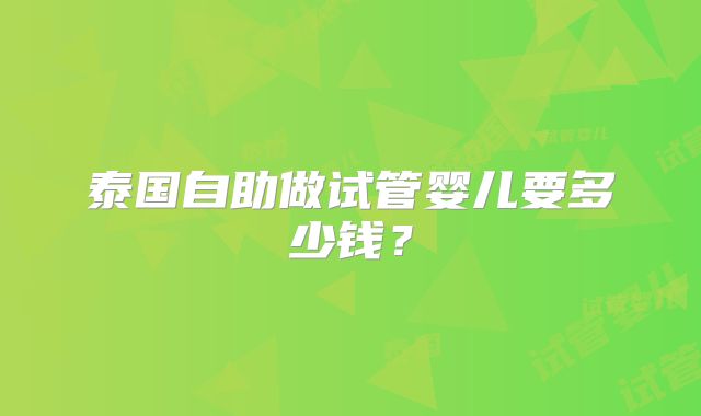 泰国自助做试管婴儿要多少钱?