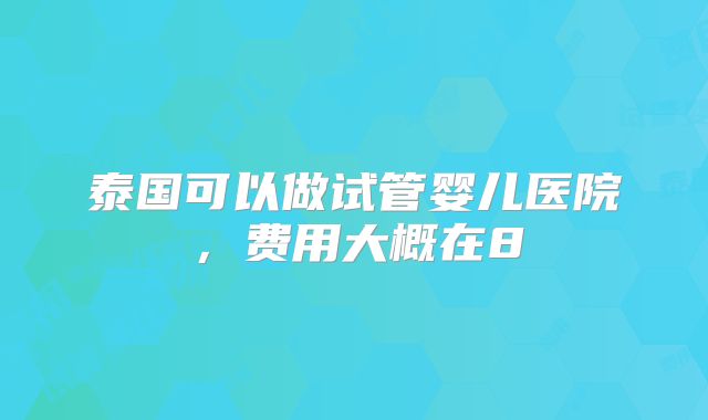 泰国可以做试管婴儿医院,费用大概在8