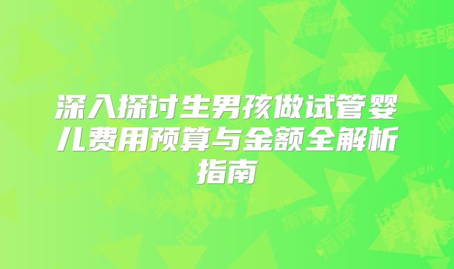 深入探讨生男孩做试管婴儿费用预算与金额全解析指南