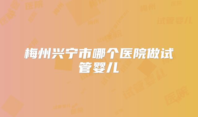 梅州兴宁市哪个医院做试管婴儿