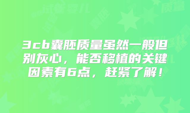 3cb囊胚质量虽然一般但别灰心,能否移植的关键因素有6点,赶紧了解!